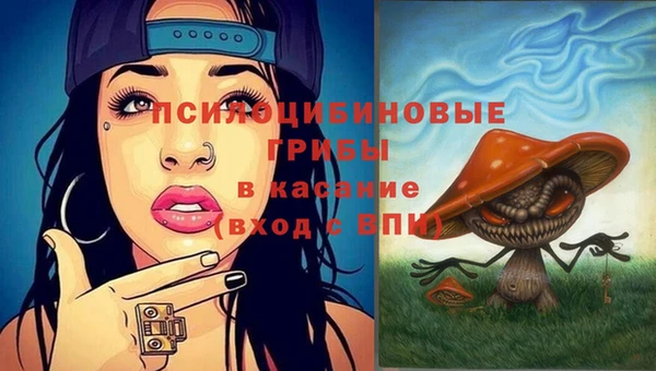 соль ск Алексеевка