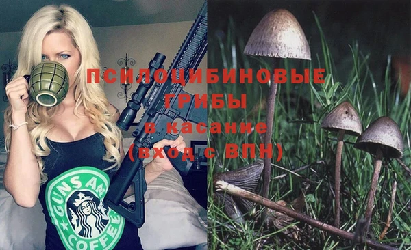 соль ск Алексеевка
