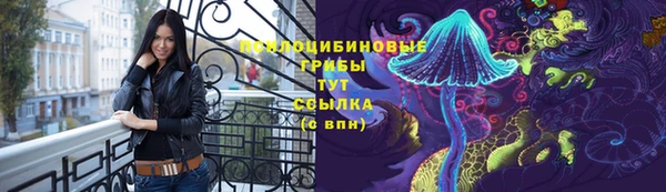 стаф Алзамай