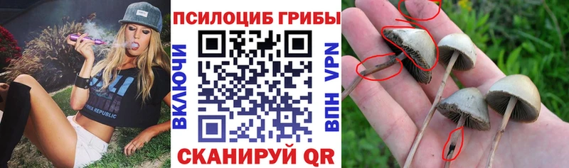 Галлюциногенные грибы ЛСД  даркнет сайт  Ардон 